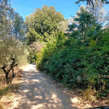 Nelgiardino Campo de lujo